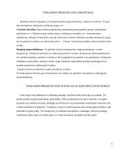 Įvadinės profesinės veiklos praktikos ataskaita: parduotuvė "Gėlių namai" 6 puslapis