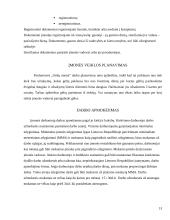 Įvadinės profesinės veiklos praktikos ataskaita: parduotuvė "Gėlių namai" 10 puslapis