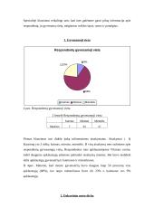 Kraštotyros ir turizmo lauko praktikos ataskaita 6 puslapis