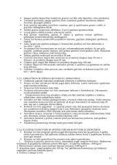 Mokomosios praktikos ataskaita: statybinių darbų technologija 11 puslapis