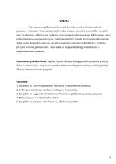 Mokomosios praktikos ataskaita: statybinių darbų technologija 3 puslapis