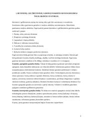 Mokomosios praktikos ataskaita: statybinių darbų technologija 4 puslapis