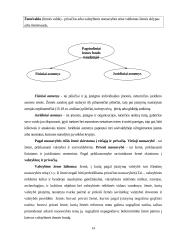 Pažintinės praktikos ataskaita  "Alytaus apskrities Lazdijų rajono žemėtvarkos skyrius" 14 puslapis