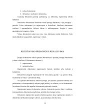 Pažintinės praktikos ataskaita: baldų gamyba įmonėje 14 puslapis