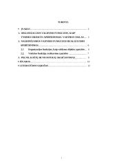 Pažintinės praktikos ataskaita: kurjerių tarnyba "Vilpostus" 2 puslapis