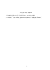 Pažintinės praktikos ataskaita: kurjerių tarnyba "Vilpostus" 12 puslapis