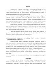 Pažintinės praktikos ataskaita: kurjerių tarnyba "Vilpostus" 3 puslapis