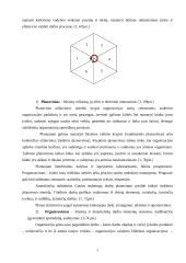 Pažintinės praktikos ataskaita: kurjerių tarnyba "Vilpostus" 4 puslapis