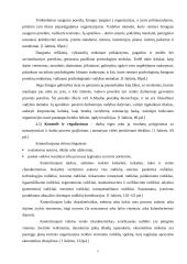 Pažintinės praktikos ataskaita: kurjerių tarnyba "Vilpostus" 6 puslapis