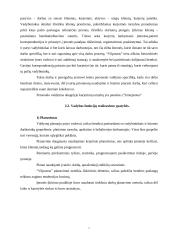 Pažintinės praktikos ataskaita: kurjerių tarnyba "Vilpostus" 8 puslapis