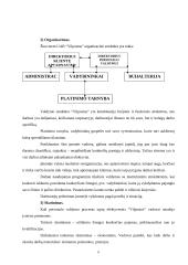 Pažintinės praktikos ataskaita: kurjerių tarnyba "Vilpostus" 9 puslapis