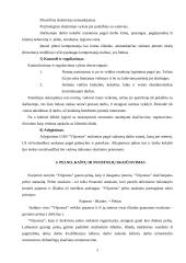 Pažintinės praktikos ataskaita: kurjerių tarnyba "Vilpostus" 10 puslapis