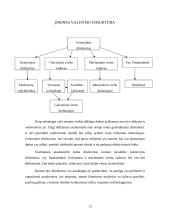 Pažintinės praktikos ataskaita: rankšluosčių, džiovintuvų, vonios kambario aksesuarų gamyba UAB "Elonika" 13 puslapis