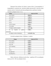 Pažintinės praktikos ataskaita: rankšluosčių, džiovintuvų, vonios kambario aksesuarų gamyba UAB "Elonika" 7 puslapis