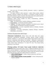 Praktikos ataskaita: AB bankas "Snoras" 5 puslapis