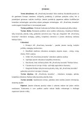 Praktikos ataskaita: keramikinių plytelių gamyba AB "Dvarčionių keramika" 2 puslapis