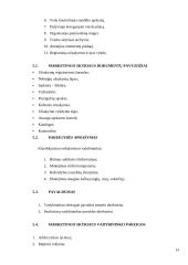 Praktikos ataskaita: praktinio mokymo firma (PMF) automobilių prekyba "Nobilitas 2" 13 puslapis