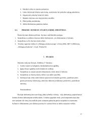 Praktikos ataskaita: praktinio mokymo firma (PMF) automobilių prekyba "Nobilitas 2" 16 puslapis
