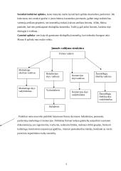 Praktikos ataskaita: prekyba ekologiškomis kosmetikos priemonėmis "Ekovita" 3 puslapis