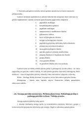 Praktikos ataskaita: prekyba statybinėmis medžiagomis UAB "Baltukmė" 15 puslapis