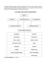 Praktikos ataskaita: sporto pedagogika 2 puslapis