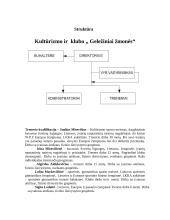 Praktikos ataskaita: sporto pedagogika 7 puslapis