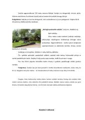 Praktikos ataskaita: turizmo sodyba Rokiškio rajone 12 puslapis