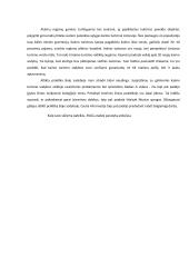 Praktikos ataskaita: turizmo sodyba Rokiškio rajone 13 puslapis