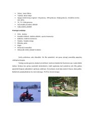 Praktikos ataskaita: turizmo sodyba Rokiškio rajone 6 puslapis