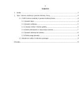 Praktikos ataskaita: UAB "Lietuvos studentų ir jaunimo kelionių biuras" 2 puslapis