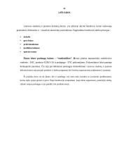 Praktikos ataskaita: UAB "Lietuvos studentų ir jaunimo kelionių biuras" 15 puslapis