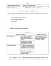 Praktikos ataskaita: UAB "Lietuvos studentų ir jaunimo kelionių biuras" 7 puslapis