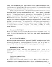 Praktikos atskaita: telekomunikacijų paslaugos UAB "Marsatas" 15 puslapis