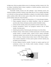 Praktikos atskaita: telekomunikacijų paslaugos UAB "Marsatas" 20 puslapis