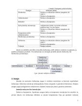 Praktikos atskaita: telekomunikacijų paslaugos UAB "Marsatas" 5 puslapis