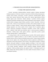 Priešdiplomės praktikos ataskaita: specialioji mokykla-darželis "Versmė" 5 puslapis
