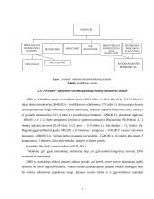 Priešdiplomės praktikos ataskaita: specialioji mokykla-darželis "Versmė" 10 puslapis