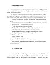 Profesinės praktikos ataskaita: kanceliarinių prekių ir kompiuterių prekyba IĮ "Edvonis" 3 puslapis