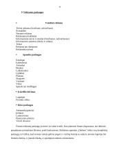Profesinės praktikos ataskaita: reklamos agentūra UAB "Daibera" 11 puslapis