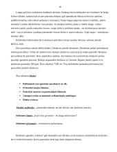 Profesinės praktikos ataskaita: reklamos agentūra UAB "Daibera" 18 puslapis