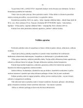 Profesinės praktikos ataskaita: reklamos agentūra UAB "Daibera" 19 puslapis