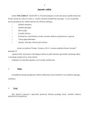 Profesinės praktikos ataskaita: reklamos agentūra UAB "Daibera" 4 puslapis