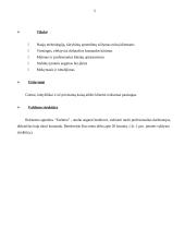 Profesinės praktikos ataskaita: reklamos agentūra UAB "Daibera" 5 puslapis