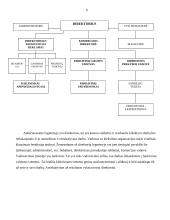 Profesinės praktikos ataskaita: reklamos agentūra UAB "Daibera" 6 puslapis