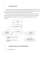 Profesinės praktikos ataskaita: reklamos agentūra UAB "Daibera" 7 puslapis