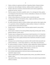 Profesinės praktikos ataskaita: reklamos agentūra UAB "Daibera" 8 puslapis