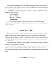 Profesinės praktikos ataskaita: reklamos agentūra UAB "Daibera" 10 puslapis