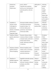 Profesinės praktikos ataskaita: reklamos paslaugos UAB "Algera" 13 puslapis