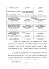 Profesinės praktikos ataskaita: viešbutis "Babilonas" UAB "Bistroma" 11 puslapis