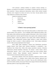 Profesinės praktikos ataskaita: viešbutis "Babilonas" UAB "Bistroma" 20 puslapis
